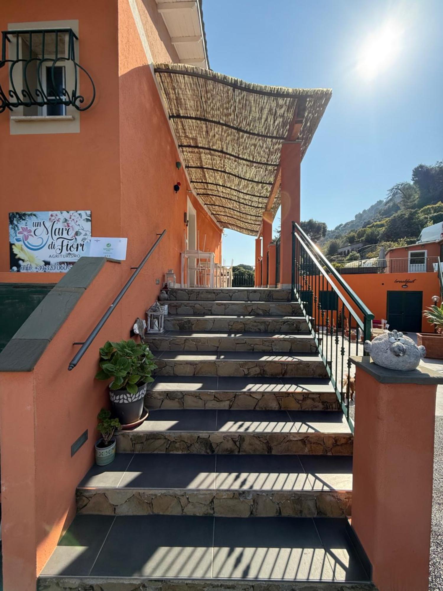 Agriturismo Un Mare Di Fiori Вентимиля Екстериор снимка