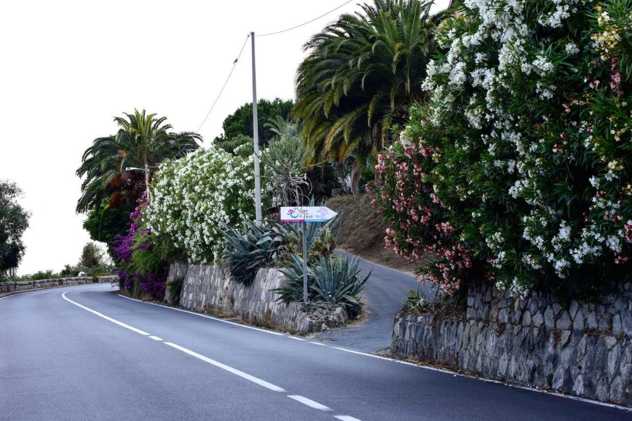 Agriturismo Un Mare Di Fiori Вентимиля Екстериор снимка