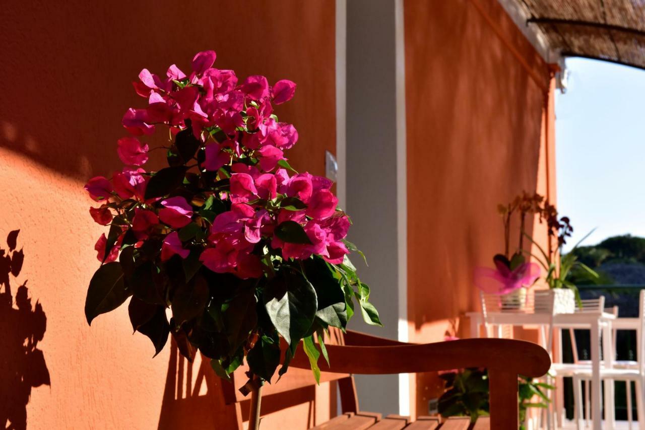 Agriturismo Un Mare Di Fiori Вентимиля Екстериор снимка